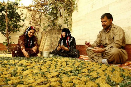 ترخینه