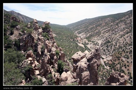 تنگه ارغوان