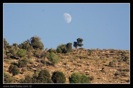 ماه در نزدیکیهای کبیر کوه