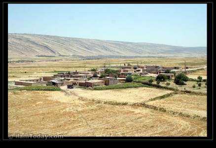 روستای نرگسی
