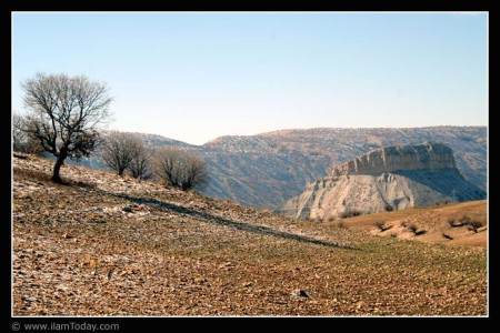 بانگنجاب