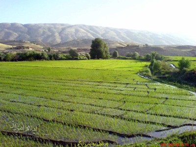 شیروان چرداول